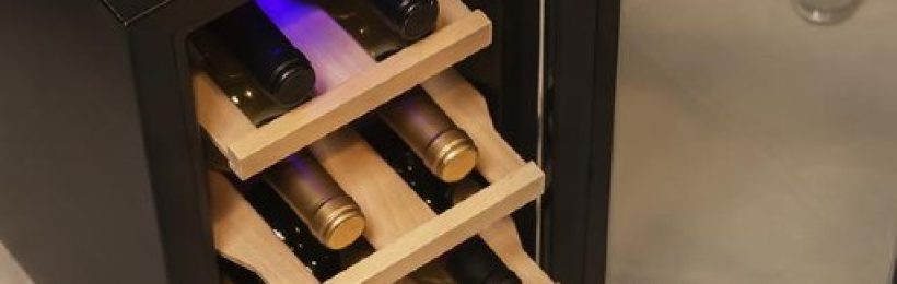 Descubre por qué las vinotecas Cecotec son la elección perfecta para los amantes del vino